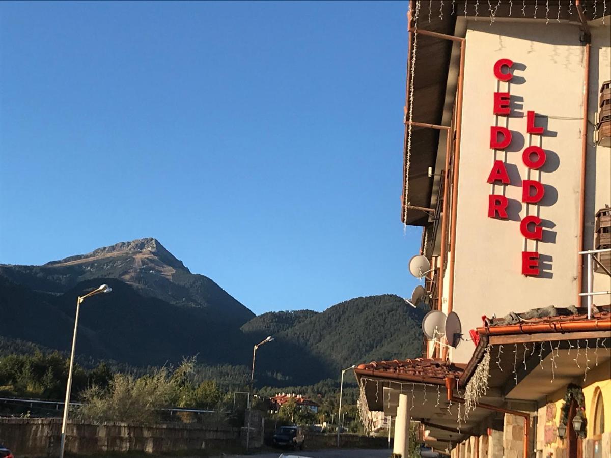 Ski Zone At Gondola, Perfect One Bdrm, Fast Wifi, Netflix, Quiet, Warm Bansko Exterior foto